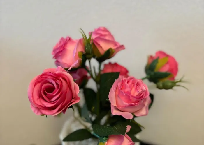 Kromatic 5 Boutique - Old Town Center Aparthotel